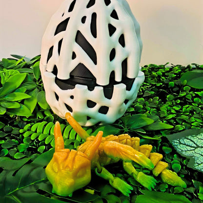 Spider Web Egg – Arachnid Warden